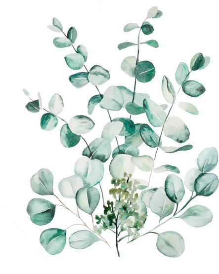 Watercolor of Eucalyptus Leaves 