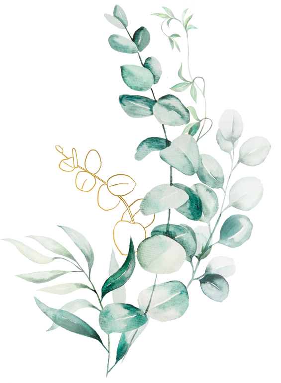 Watercolor Eucaliptus Leaves Bouquet Illustration