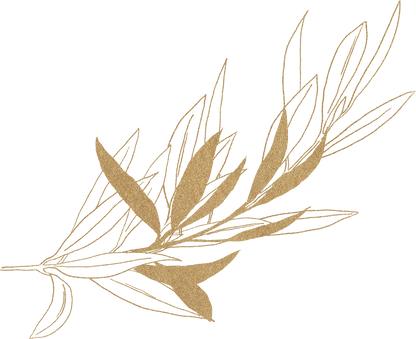 Gold Olive Branch Illustration